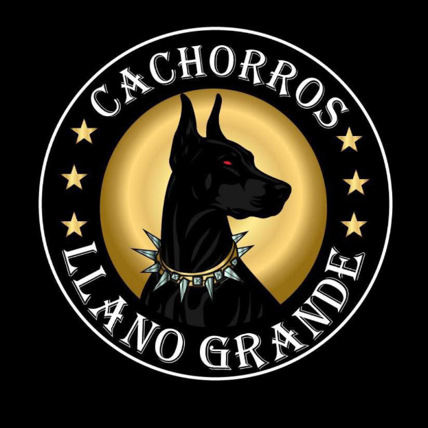Logo Cachorros Llano Grande